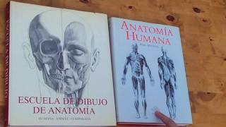 Escuela de Dibujo de Anatomía y Anatomía Humana para Artistas de SZUNYOGHY por Juan Herrera [upl. by Jerrylee]