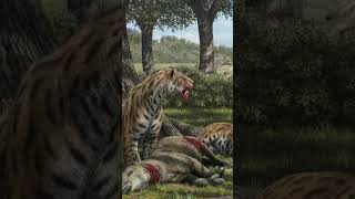 What Happened To The Prehistoric Big Dogs extinctanimals animals extinct shorts [upl. by Lrat]