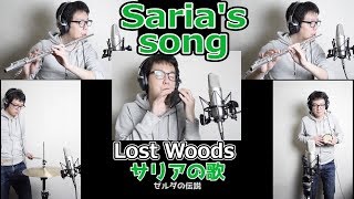 迷いの森 サリアの歌を全パート演奏してみた Sarias songLost woods [upl. by Ritz]