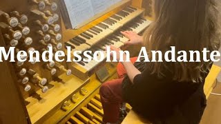 Mendelssohn  Andante DDur 1844 a Eule Orgel St Bonifatius Neuenkirchen Oldb [upl. by Bergeman823]