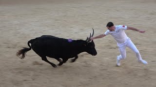 PEROLSLigueCourse Camarguaise15032024LaurentRaynaudFabreMailhan [upl. by Yennep46]