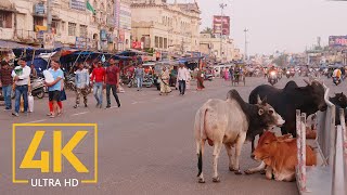 Everyday Life of Puri  4K Travel Film  Incredible India  Cities of the World [upl. by Hunley]