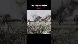 WW2 The Eastern Front 1943  Real Sound No Music shorts ww2 [upl. by Maillil]