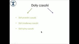 Doły czaszki wstęp PL [upl. by Bender136]