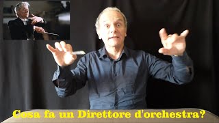 A cosa serve il Direttore dOrchestra Impariamo insieme i gesti [upl. by Arand]