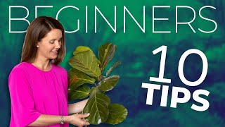 The Beginners Guide to Keep a Fiddle Leaf Fig GREEN and GORGEOUS [upl. by Sennahoj]