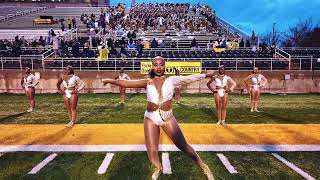 UAPB Band  quotRunnerquot  Homecoming 2024 [upl. by Eirrol]