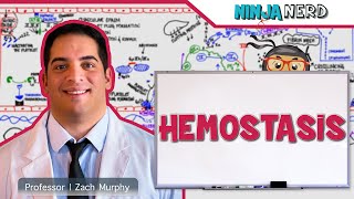 Hematology  Hemostasis Coagulation Cascade [upl. by Grim]