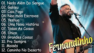 FERNANDINHO ÁLBUM NOVO  OS MELHORES HINOS GOSPEL DO FERNANDINHO [upl. by Ahsyekal]