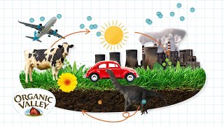 Carbon Sequestration Explained  Ask Organic Valley [upl. by Aitel633]