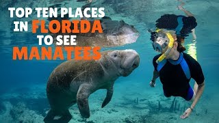 Top Ten places in Florida to see Manatees [upl. by Analrahc]