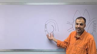 Cardiology  Heart failure lec 1  Dr Mahmoud Allam [upl. by Bibbye791]