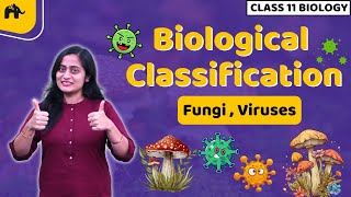 Biological Classification Class 11 Biology NCERT Chapter 2  CBSE  Kingdom Fungi Viruses Viriods [upl. by Bartosch]