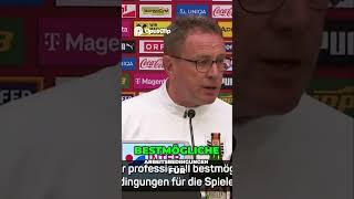 Vertragsverlängerung und das Leistungsprinzip im Fokus österreich fussball worldcup bundesliga [upl. by Annaillil]