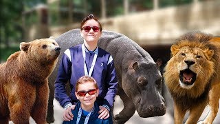 VLOG  AU MILIEU DES LIONS OURS amp HIPPOPOTAMES EN CAMION BROUSSE   ZooSafari de Thoiry [upl. by Notnirb]