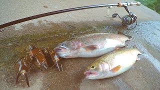 Catch and Cook Crawfish amp Trout [upl. by Licht]