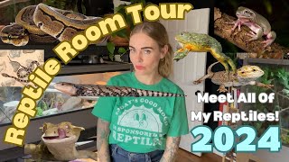 Reptile Room Tour 2024 Meet All Of My Reptiles [upl. by Nell562]