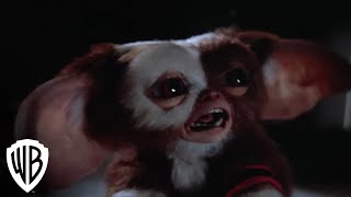 Gremlins The Wild Batch  Official Trailer  Max [upl. by Pinkham]