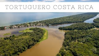 Visiting Tortuguero Costa Rica National Park Turtles and Canals [upl. by Henricks]