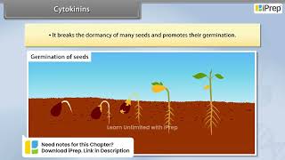 Cytokinins  Plant Growth and Development  Biology  Class 11th  iPrep [upl. by Anilorac]