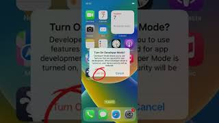 How can TutuApp work on iOS 16 [upl. by Akeenahs609]