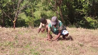 A Madagascar une victoire climatique grâce au reboisement [upl. by Yauq]