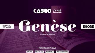 « Genèse »  LAncien Testament  La Sainte Bible audio VF Complète [upl. by Proud]