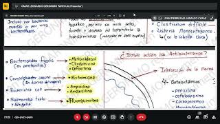 Antibacterianos Antimicoticos y Antiparasitarios Farmacologia Final [upl. by Nohsid]