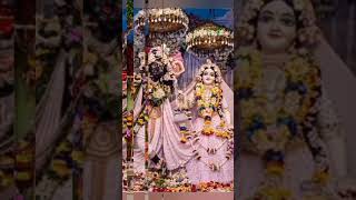 Banke Bihari AayeHai Tere SharanMein Shree RadheKrishna🙏bhakti statusYouTubeshortsviralvideo [upl. by Okin544]