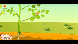 What is Photosynthesis in Plants Class 3rdClass 4Grade 3Grade 4Grade 5 [upl. by Cuda]