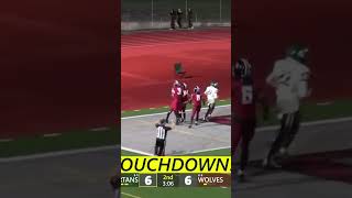 High School Football Player Intercepts Pass With One and A Half Hands 2024highschoolfootball [upl. by Nattie]