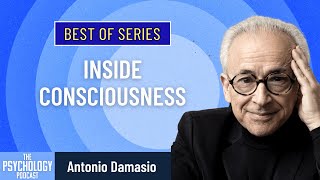 Best of Series Inside Consciousness  Antonio Damasio [upl. by Faustina]