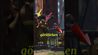 Shrekde Bulunan Karanlık ve Acımasız Detay 🧸🧸🧸 [upl. by Bohner399]