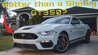 Why I Chose a Mustang Mach 1 over The Shelby GT350 [upl. by Notliw]