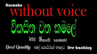 Vikasitha watha kamale  karaoke  Amal perera version [upl. by Eenalem]