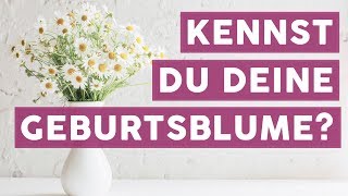 Die passende Blume zu jedem Geburtsmonat  TRENDS [upl. by Irot]