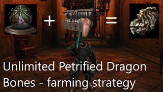 Dark Souls 2 SotFS  easy Petrified Dragon Bone farming [upl. by Llehcal714]