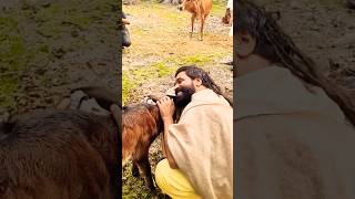 gaumata hiranmoygoswami sanatandharma viralvideo radha india bangladesh youtubeshorts [upl. by Viola]