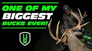 FREAKY GIANT BUCK WITH A BOW [upl. by Nitaj74]