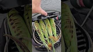 Grilled Corn bassfishing fishing bass bassfishinglife shorts shortsvideo grilledcorn boat [upl. by Anha]