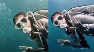 Underwater test  GoPro Hero 12 vs DJI Osmo Action 4 [upl. by Senilec]