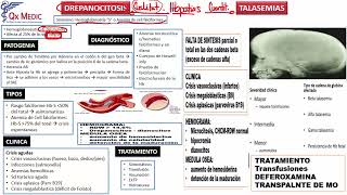 3 RM19 2V HEMATOLOGÍA ESFEROCITOSIS DEFICIT DE PK Y G6PDH DREPANOCITOSIS TALASEMIAS [upl. by Chilson462]