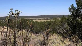 Salinas Pueblo Missions National Monument [upl. by Amitaf]