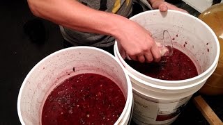 How to Start a Wine Fermentation and Balance Your Must  Home Winemaking [upl. by Nugesulo985]