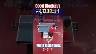 Good Blocking worldtabletennis pingpong tabletennisplayer tabletennis tenisdemesa video [upl. by Phillie]