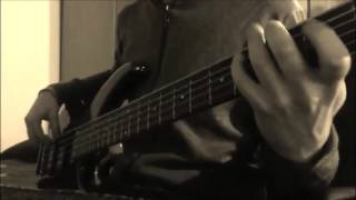 Toto  Africa Mike Porcaro Bass Solo Cover Live in Amsterdam [upl. by Nref]