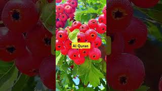 O jinn and humans which of Allahs blessings will you denyquotes quran shorts [upl. by Stedt]