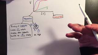 Allosteric Enzymes Sigmoidal Kinetics [upl. by Nilya]