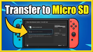 How to Format Micro SD Card on Nintendo Switch Fast Method [upl. by Bolan447]