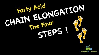 PUFAs Fatty Acid Elongation and Desaturation [upl. by Riem]